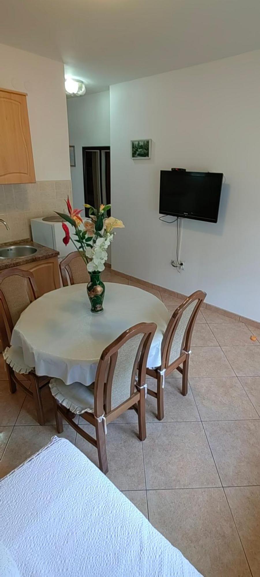 Apartment Milicevic Igalo